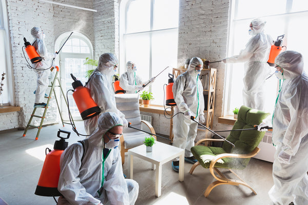 8 Best Disinfectant Products For Disinfecting Your Office Space