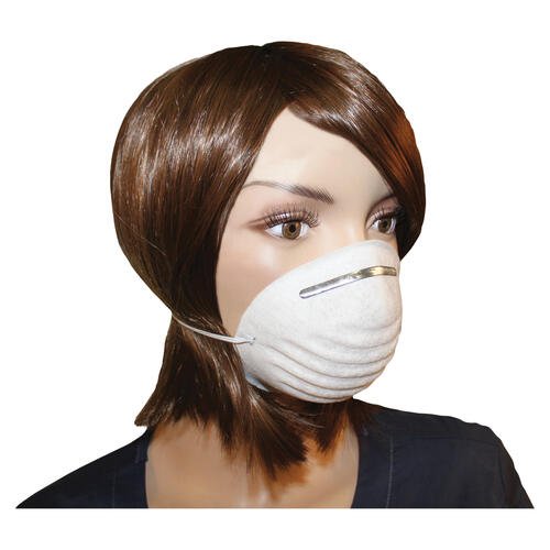 ProGuard Disposable Nontoxic Dust Mask (7300B)